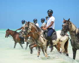 Zanzibar Horse riding